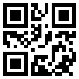 Il Qr Code di 3913993707