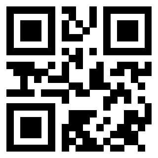 Il Qr Code di 3913993716