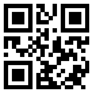 3913993728 QrCode associato