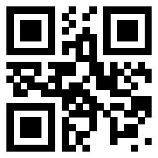Il Qr Code di 3913993733