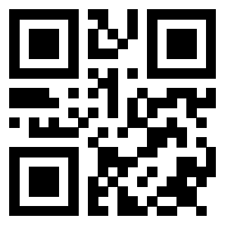 Il Qr Code di 3913993764