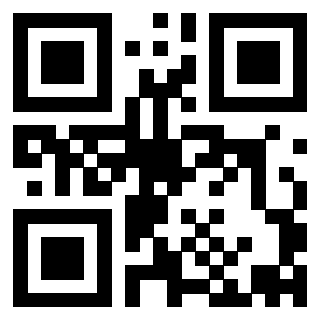 3913993828 QrCode associato