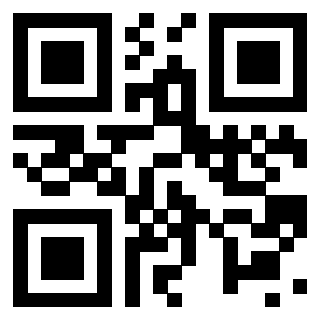Il Qr Code di 3913993843