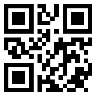 3913993875 - Immagine del QrCode associato