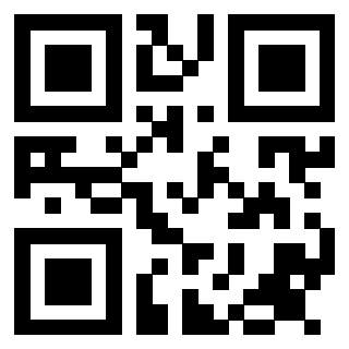 3913993993 QrCode associato