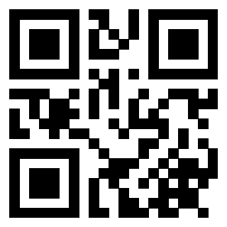 Il Qr Code di 3914303048