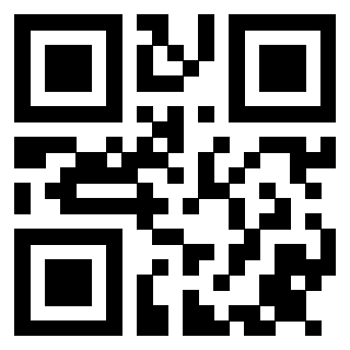 Il Qr Code di 3914453013