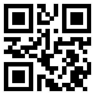 Il Qr Code di 3914581883