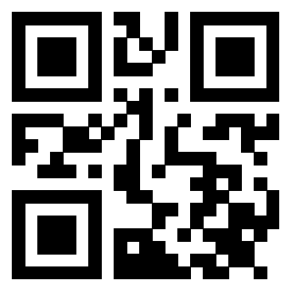 Il Qr Code di 3914621663