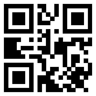 Il Qr Code di 3914711856