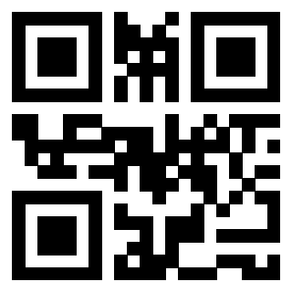 Il Qr Code di 3914892719