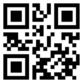 Il Qr Code di 3914916918