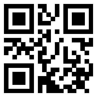 Il Qr Code di 3914917303