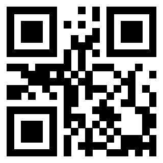 3915044133 Qr Code associato