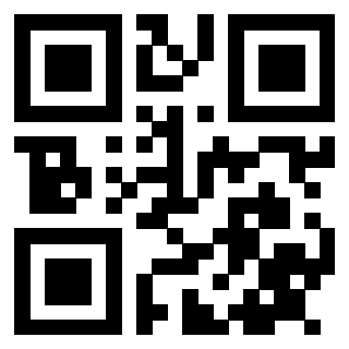 Il Qr Code di 3915057295