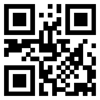 3915111330 Qr Code associato