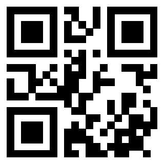 3915111336 Qr Code associato