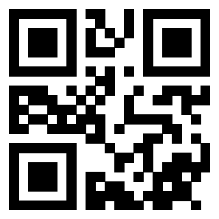 Il Qr Code di 3915298665