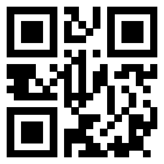 Il Qr Code di 3915304746