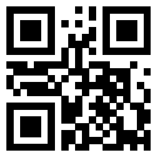 Il Qr Code di 3915304843