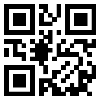 3915305040 Qr Code associato