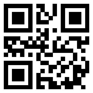 3915305041 - Immagine del QrCode associato