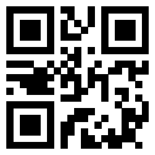 Il Qr Code di 3915360612