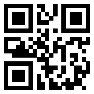 Il Qr Code di 3915360613