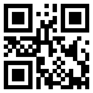 3915391300 QrCode associato