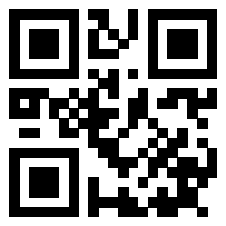 3915428731 QrCode associato