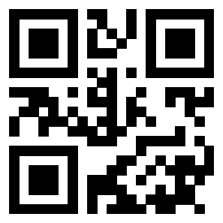 Il Qr Code di 3915442998
