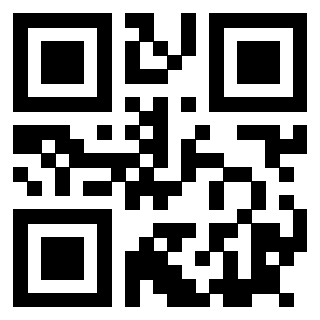 QrCode di 3915505343