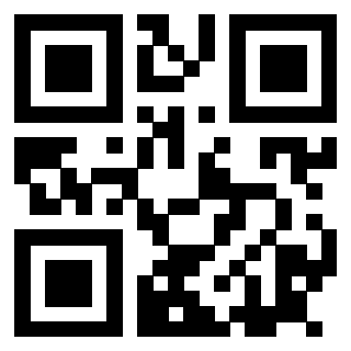 Il Qr Code di 3915505988