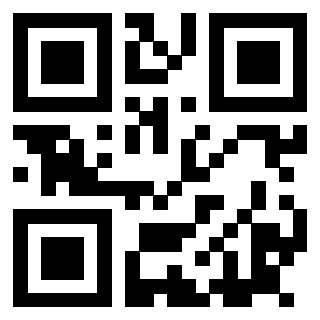 Il Qr Code di 3915506008