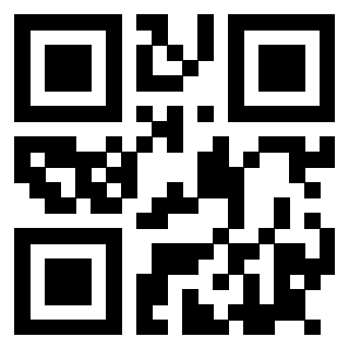 3915506101 QrCode associato