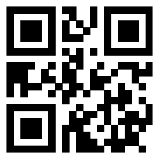 Il Qr Code di 3915671095