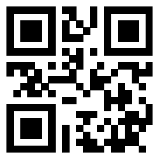 Il Qr Code di 3915671096