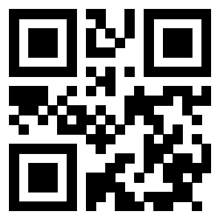 QrCode di 3915829867