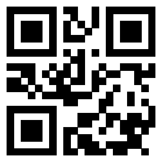 Il Qr Code di 3915830219