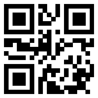 QrCode di 3915864203