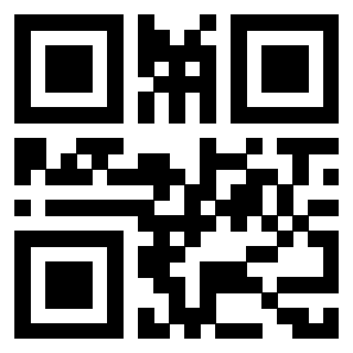 Il Qr Code di 3915955048