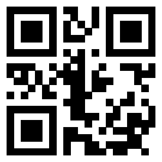 3915955313 QrCode associato