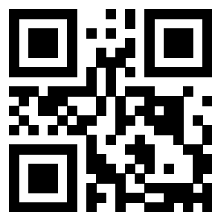 QrCode di 3915991873
