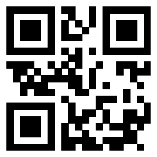 3915991919 Qr Code associato