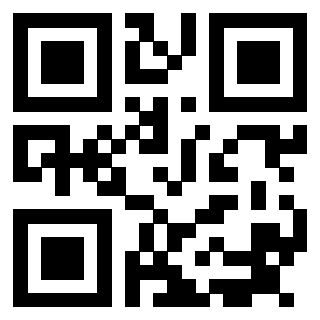 Il Qr Code di 3915992064