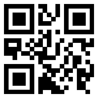 Il Qr Code di 3916012031