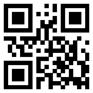 Il Qr Code di 3916012053