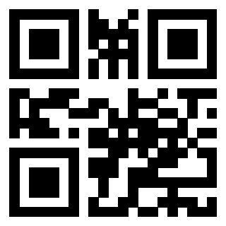 Il Qr Code di 3916012063