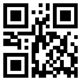 Il Qr Code di 3916012206