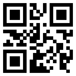 3916012334 QrCode associato